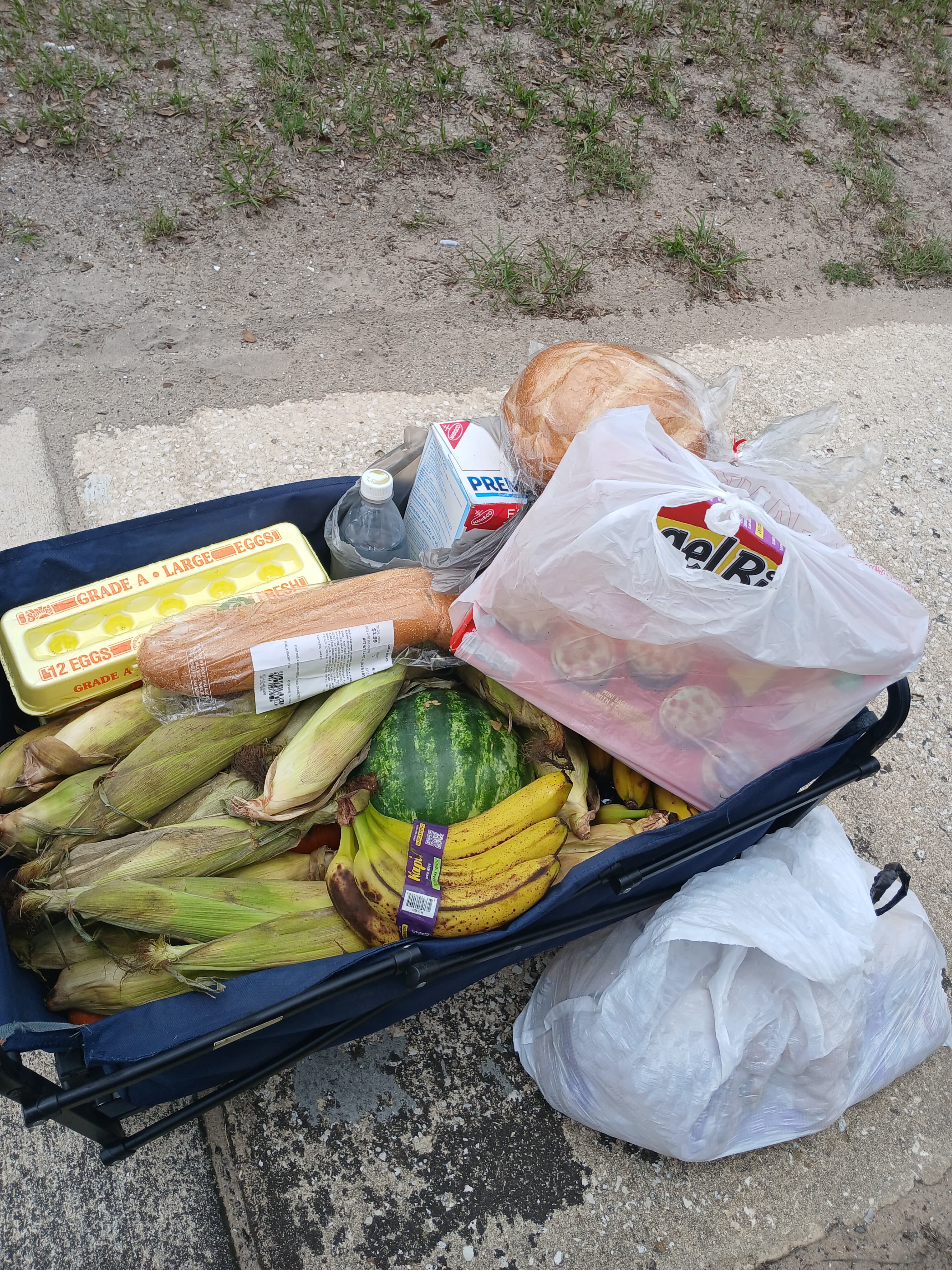 Feed item photo