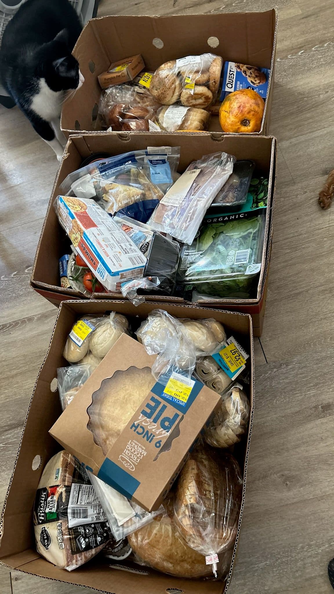 Feed item photo