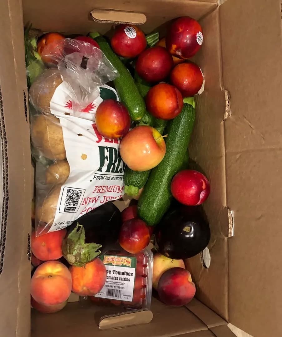 Feed Photo