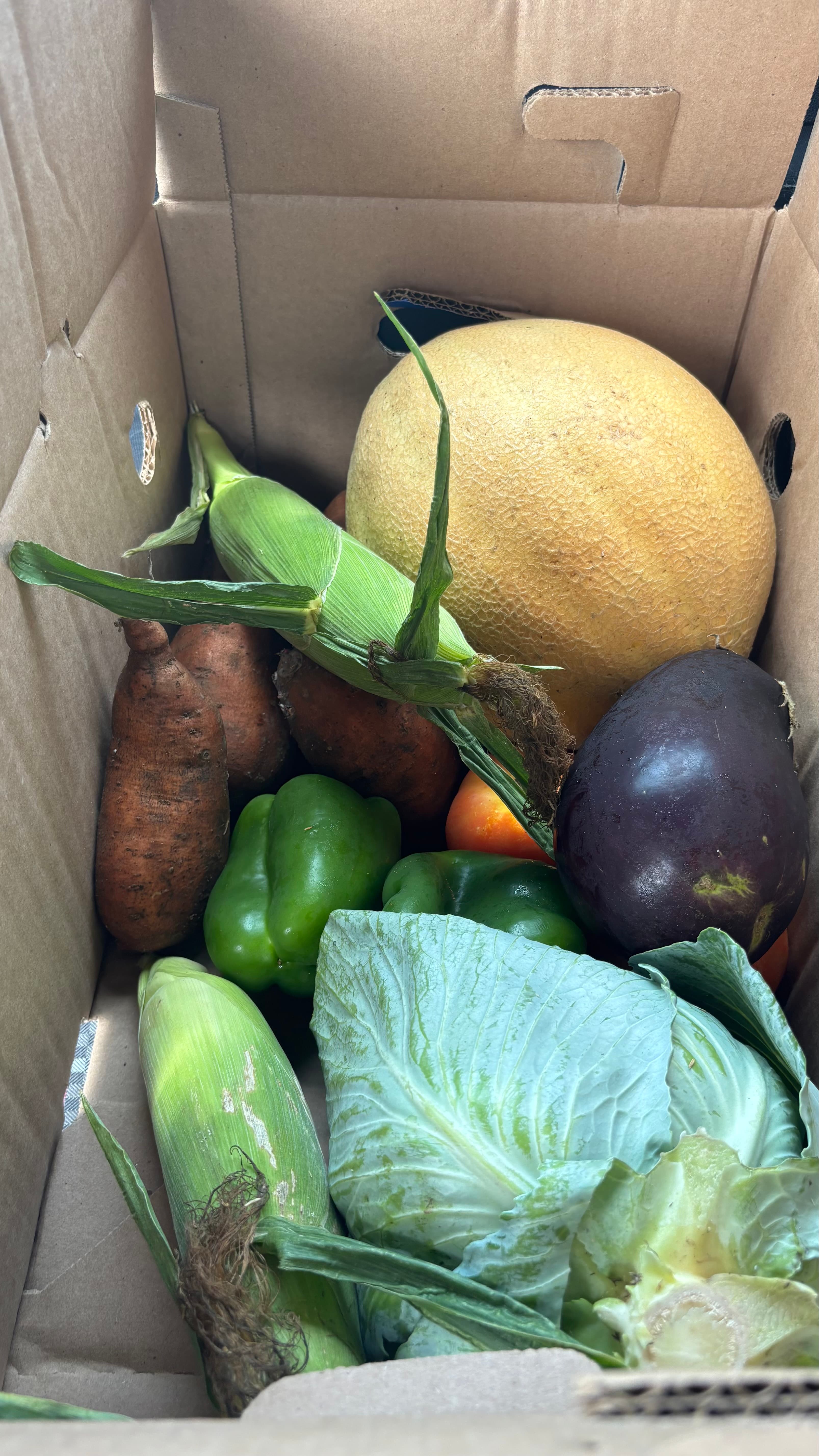 Feed item photo