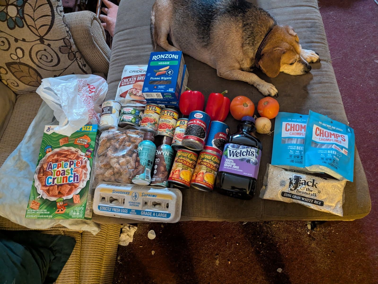 Feed item photo
