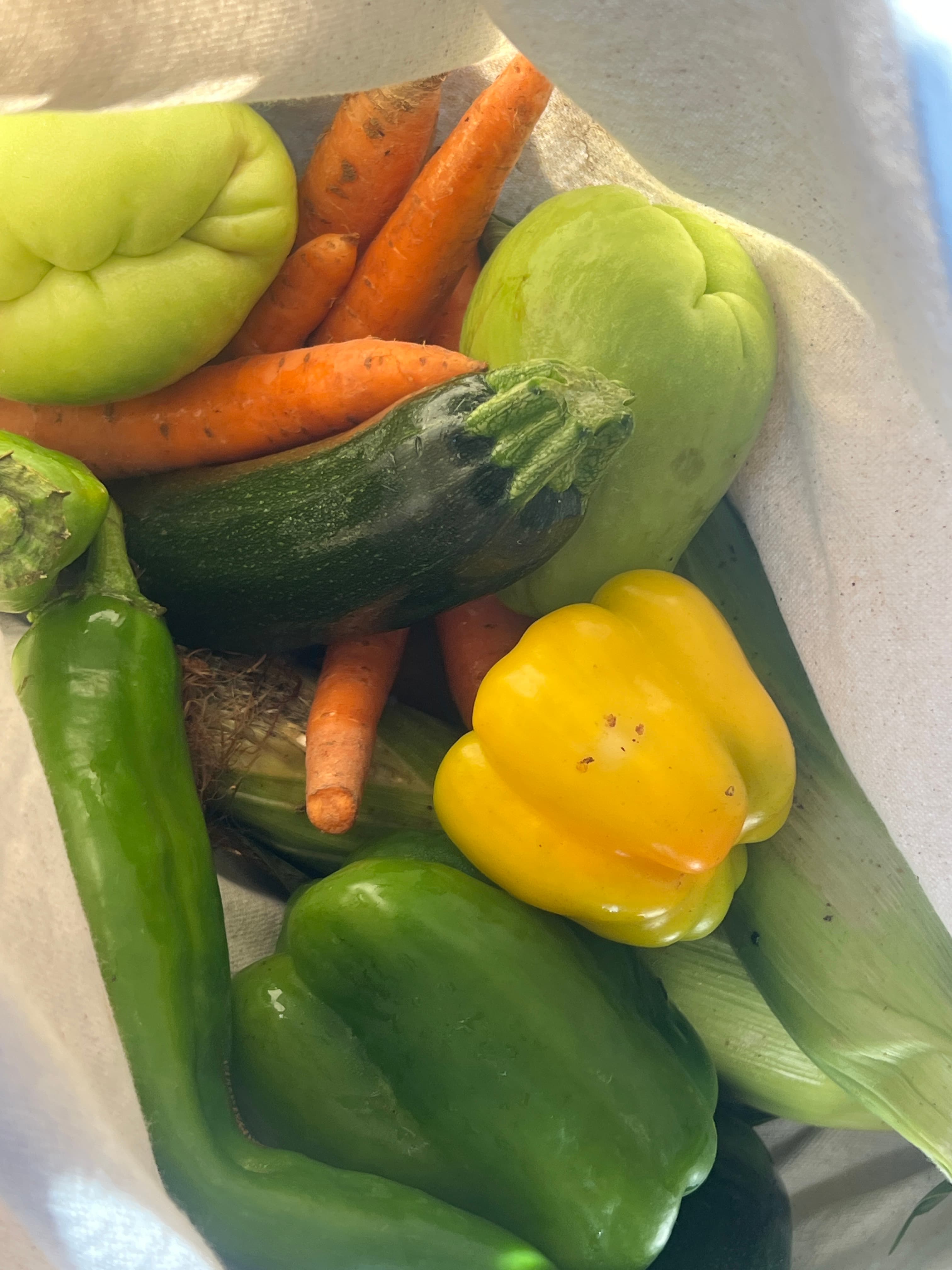 Feed item photo