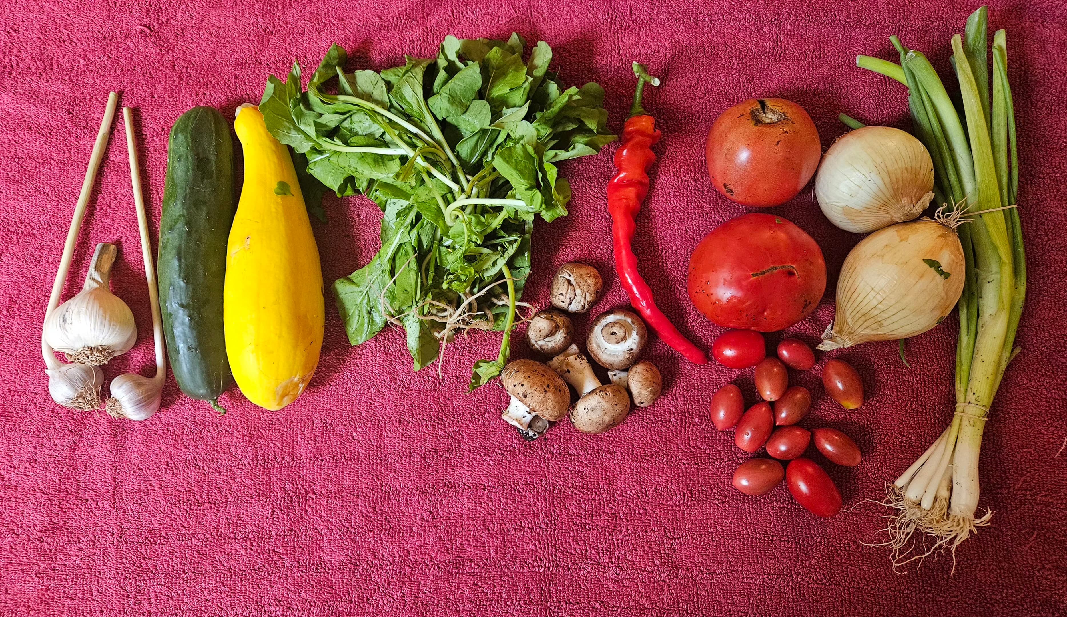 Feed item photo