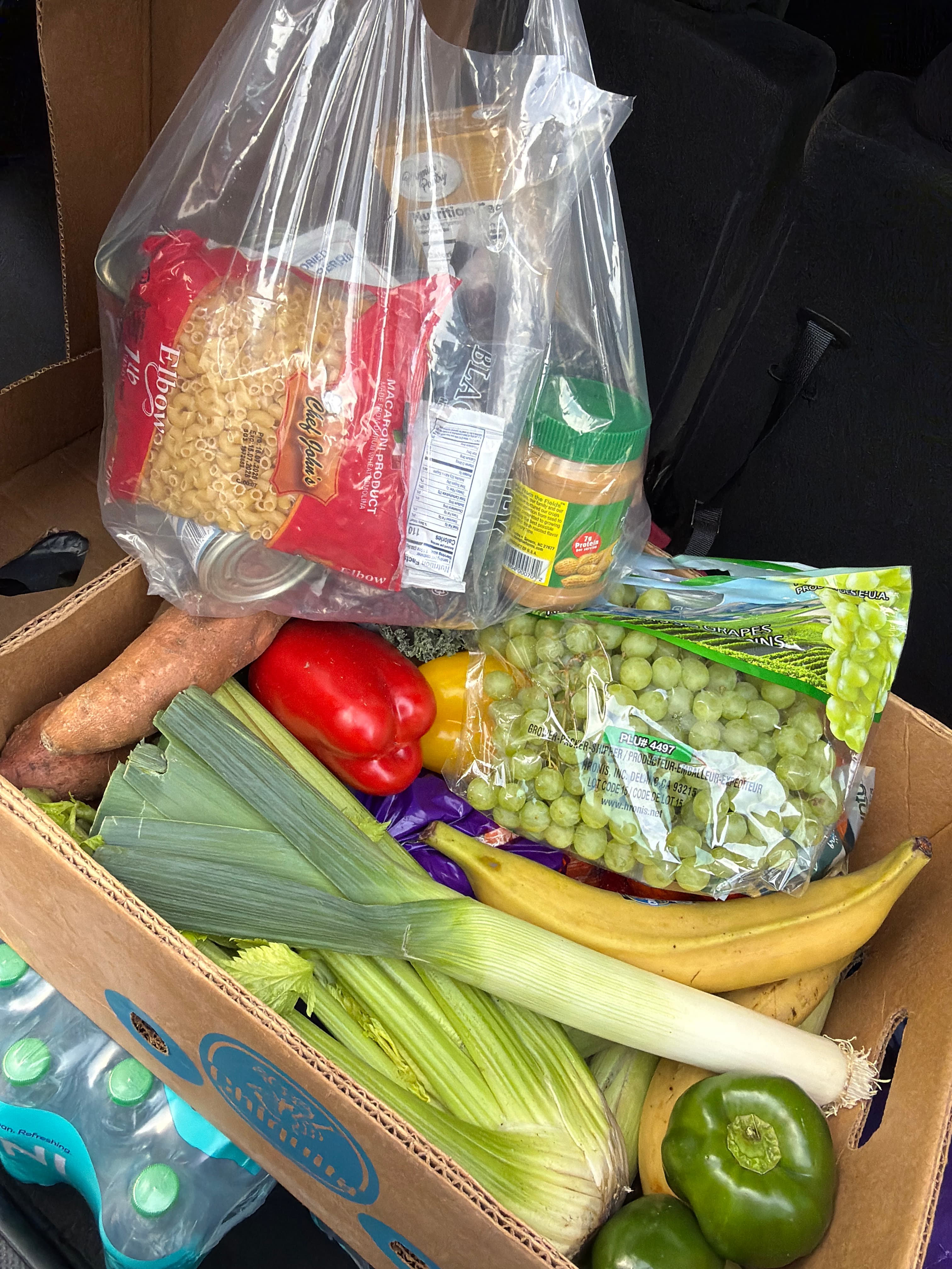 Feed item photo